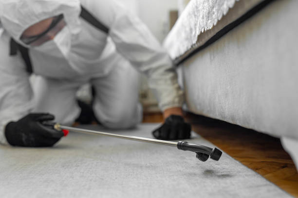 Professional Mosquito Control technician working in Braddock, VA