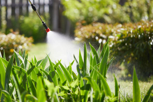 24/7 Emergency Mosquito Control experts in Braddock, VA