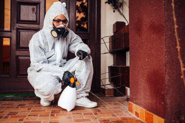 Reliable Mosquito Control contractor in Braddock, VA by Nex Pest Control